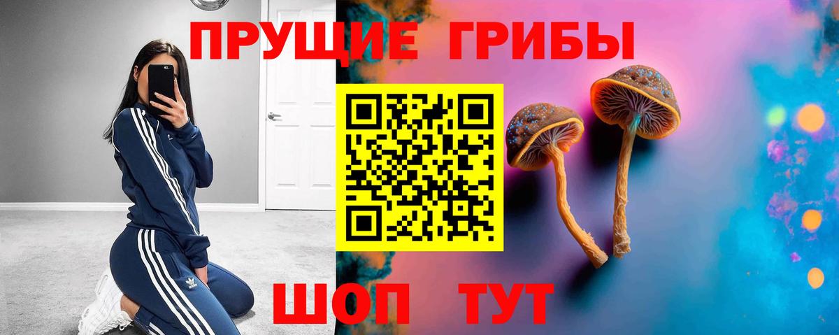 Галлюциногенные грибы Magic Shrooms Югорск